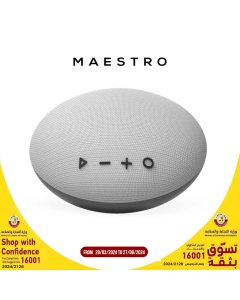 Maestro - HOOP Bluetooth Speaker - Grey